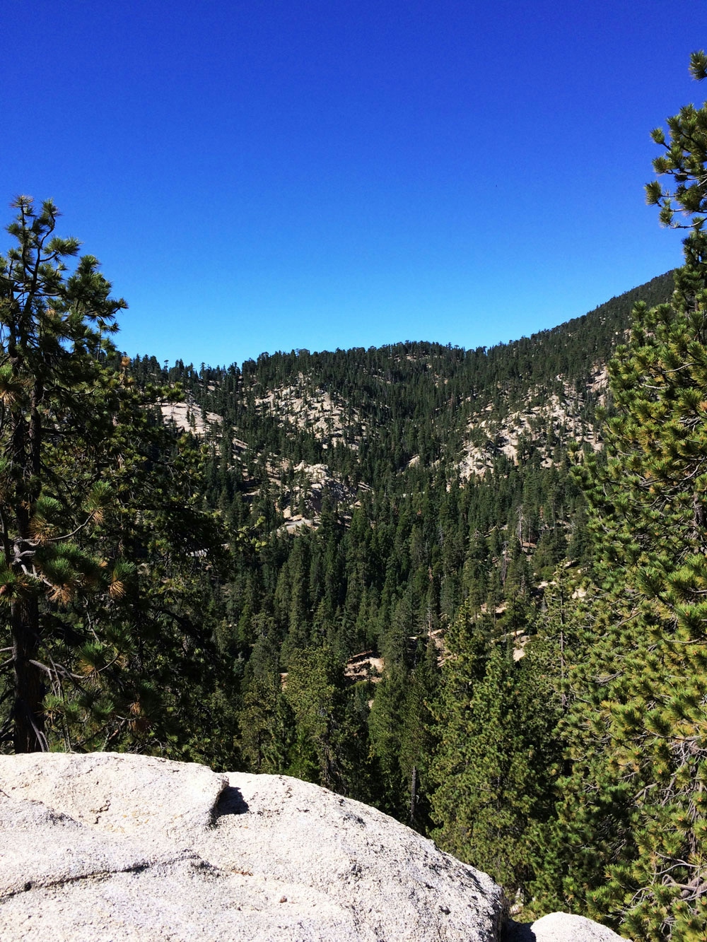 The Best Outdoor Weed Hikes In LA