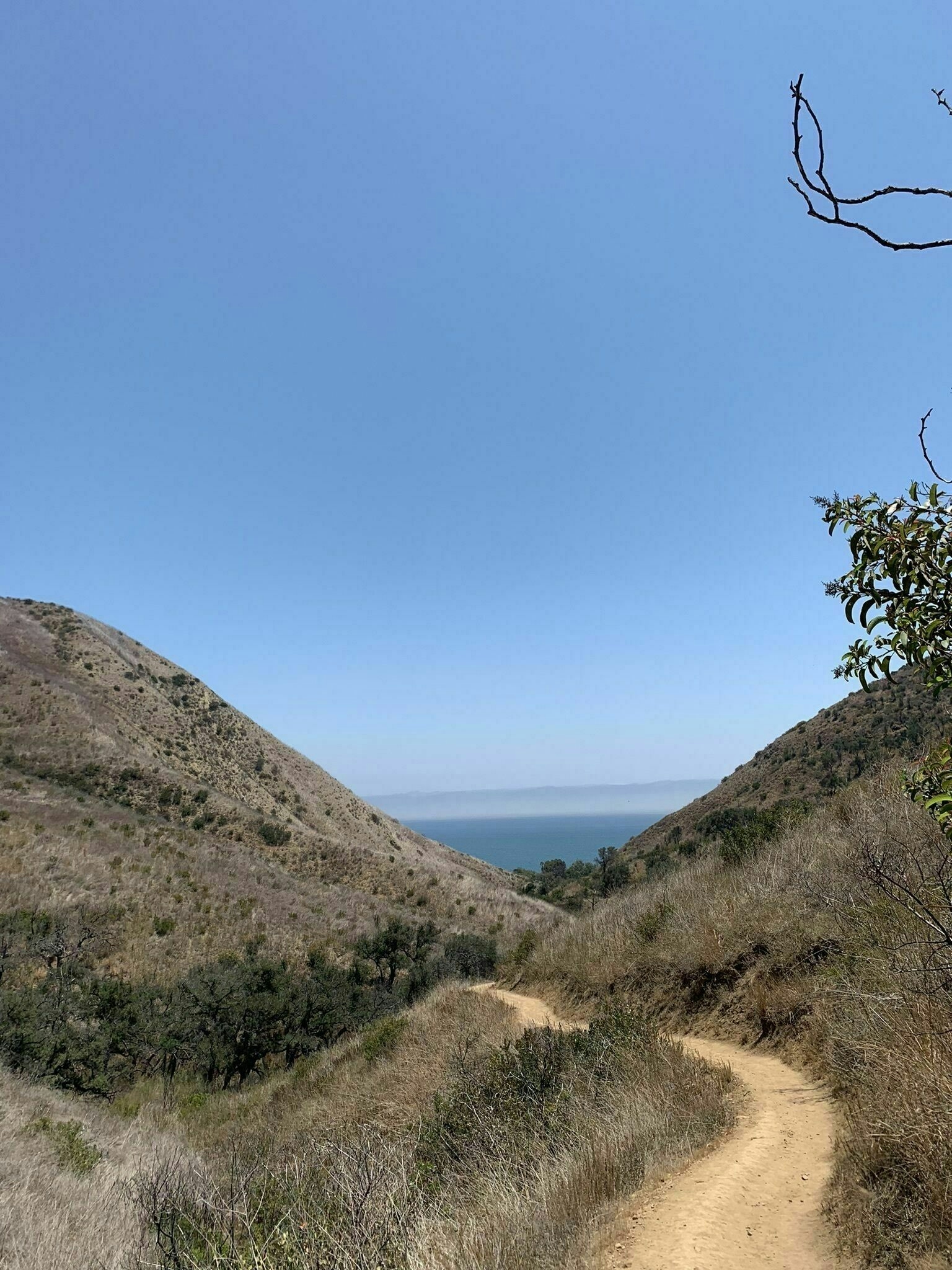 The Best Outdoor Weed Hikes In LA
