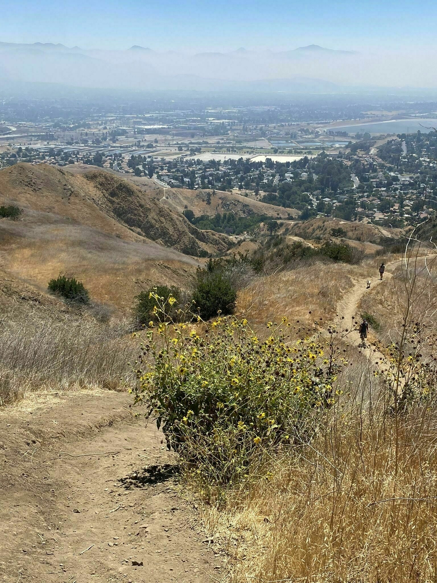 The Best Outdoor Weed Hikes In LA