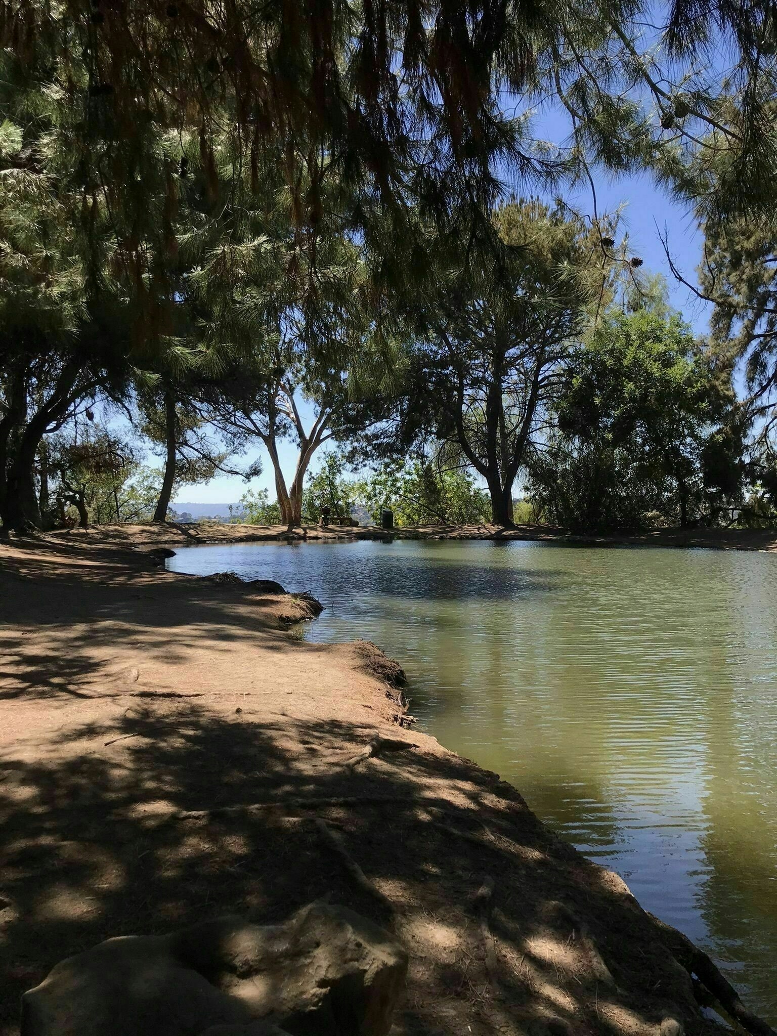 The Best Outdoor Weed Hikes In LA