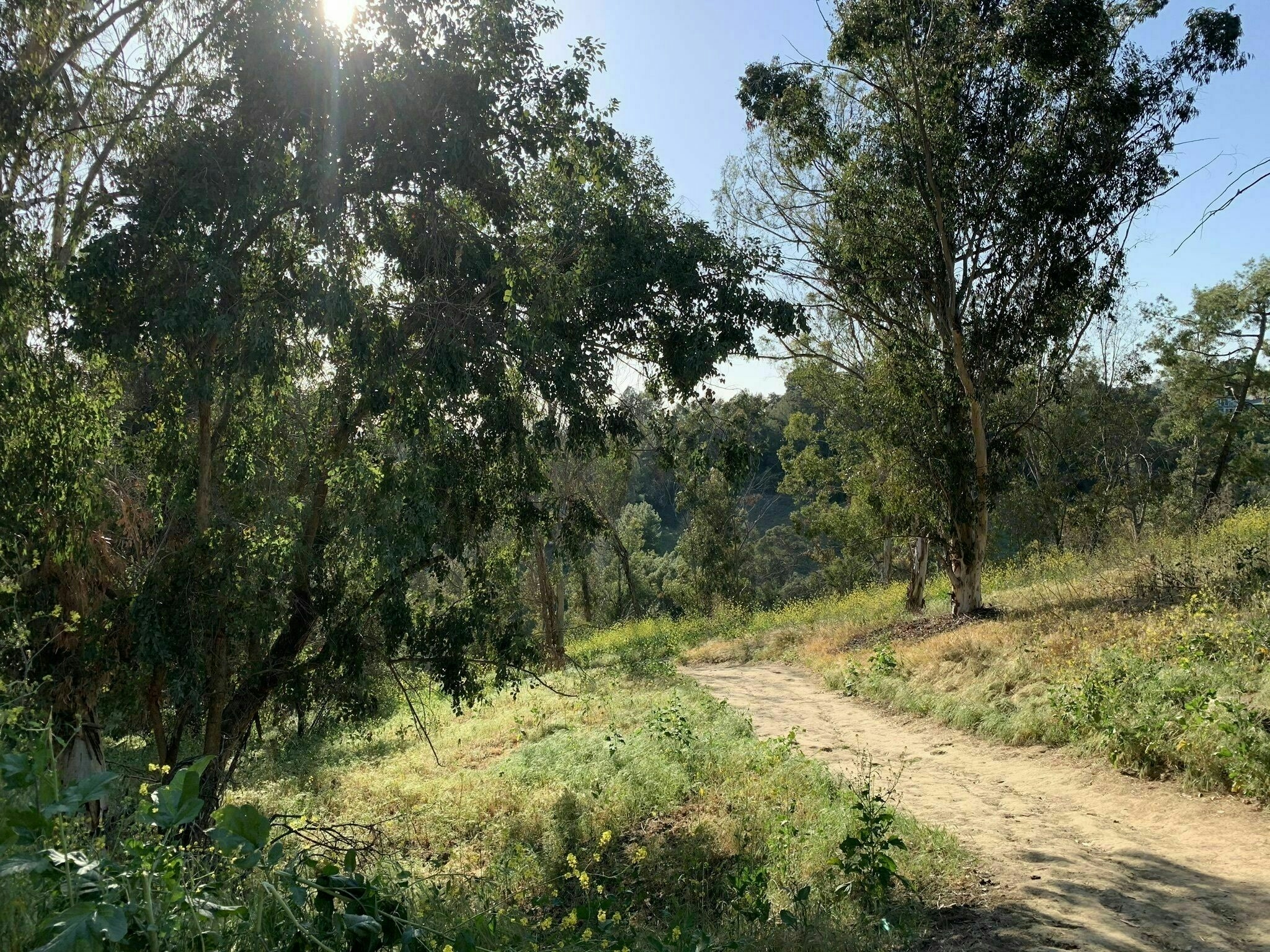 The Best Outdoor Weed Hikes In LA