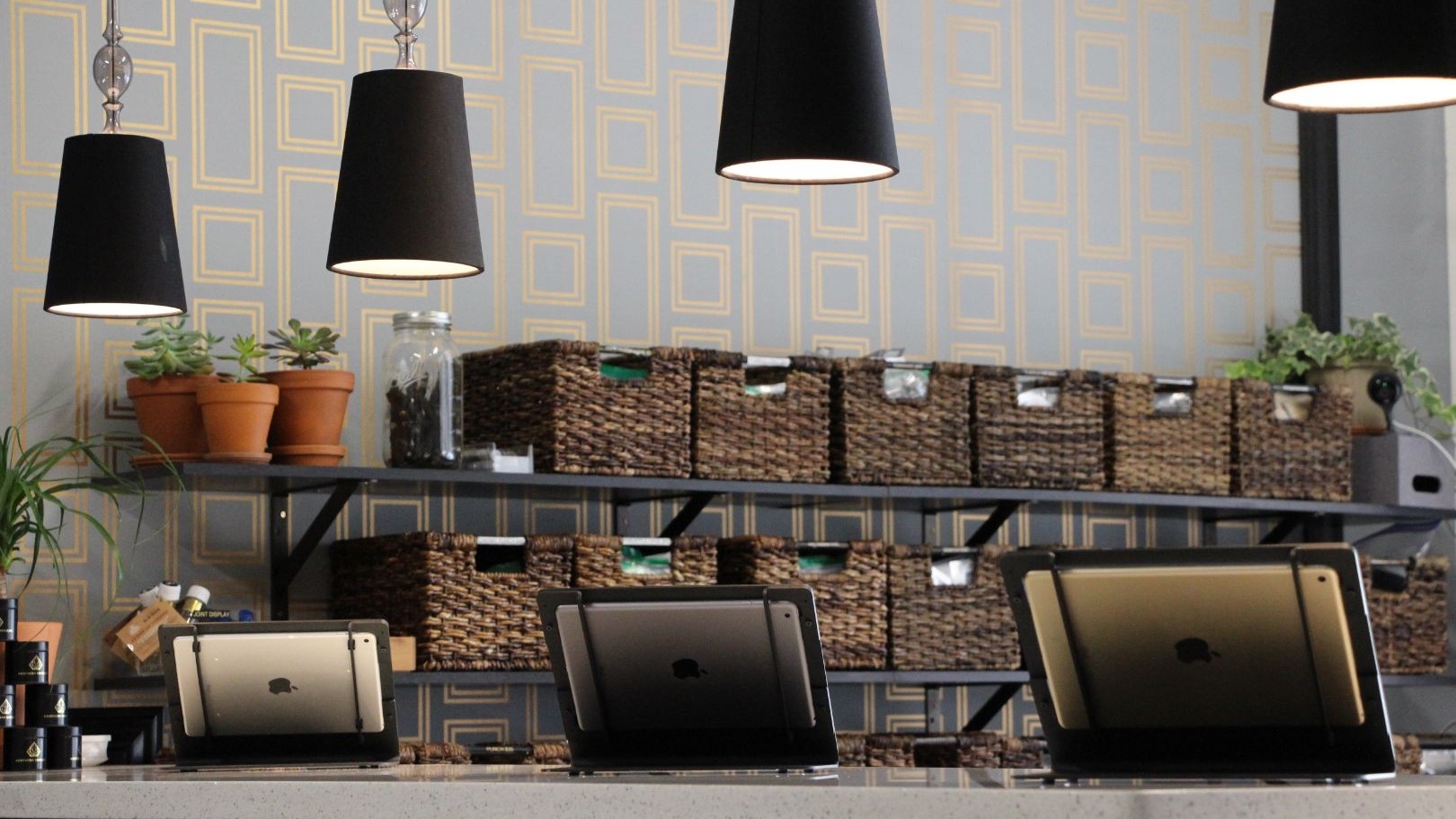 The Best Dispensaries In San Francisco & The Bay Area