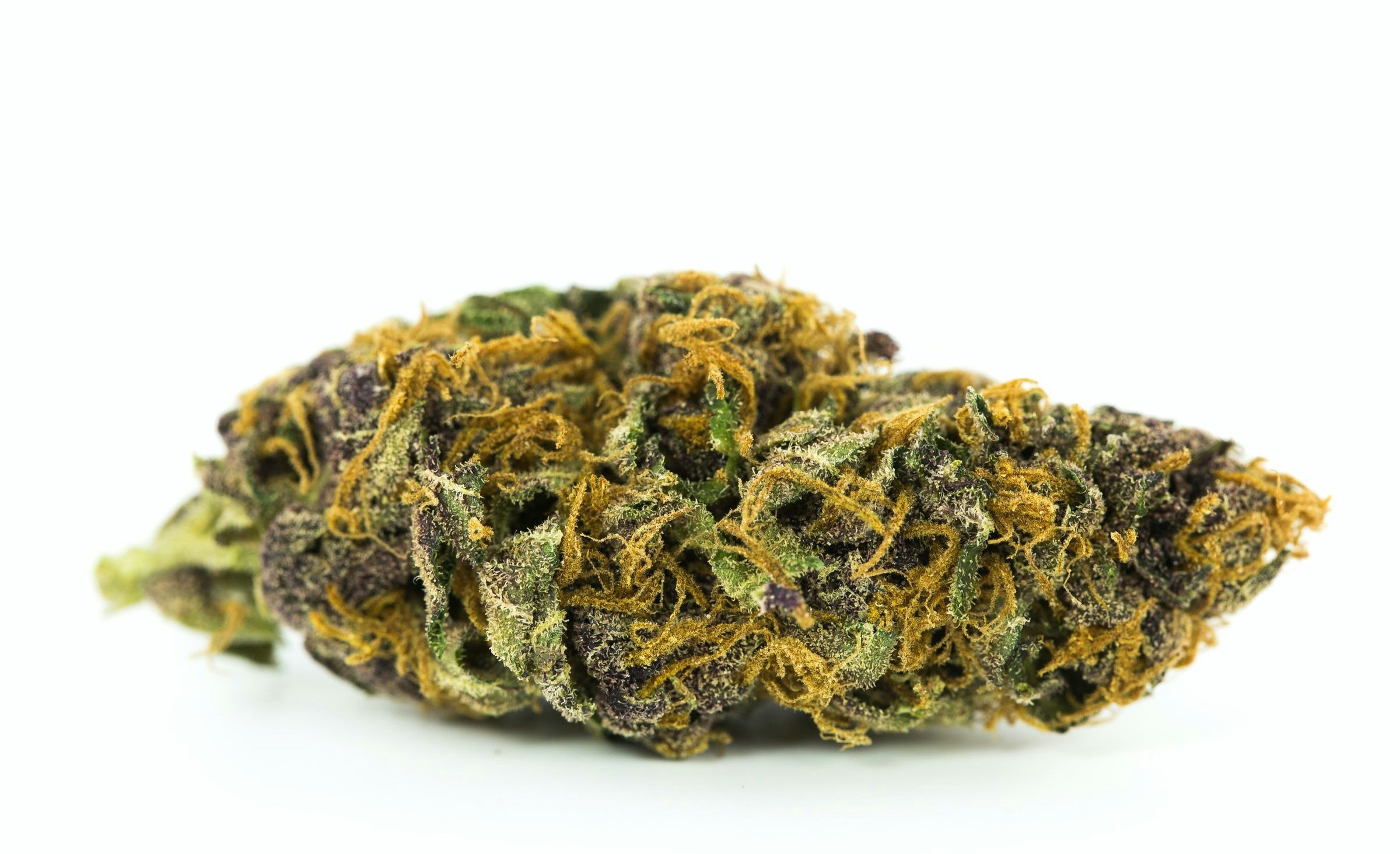 Premium Pink Goo cannabis flower with dense buds and heavy resin production