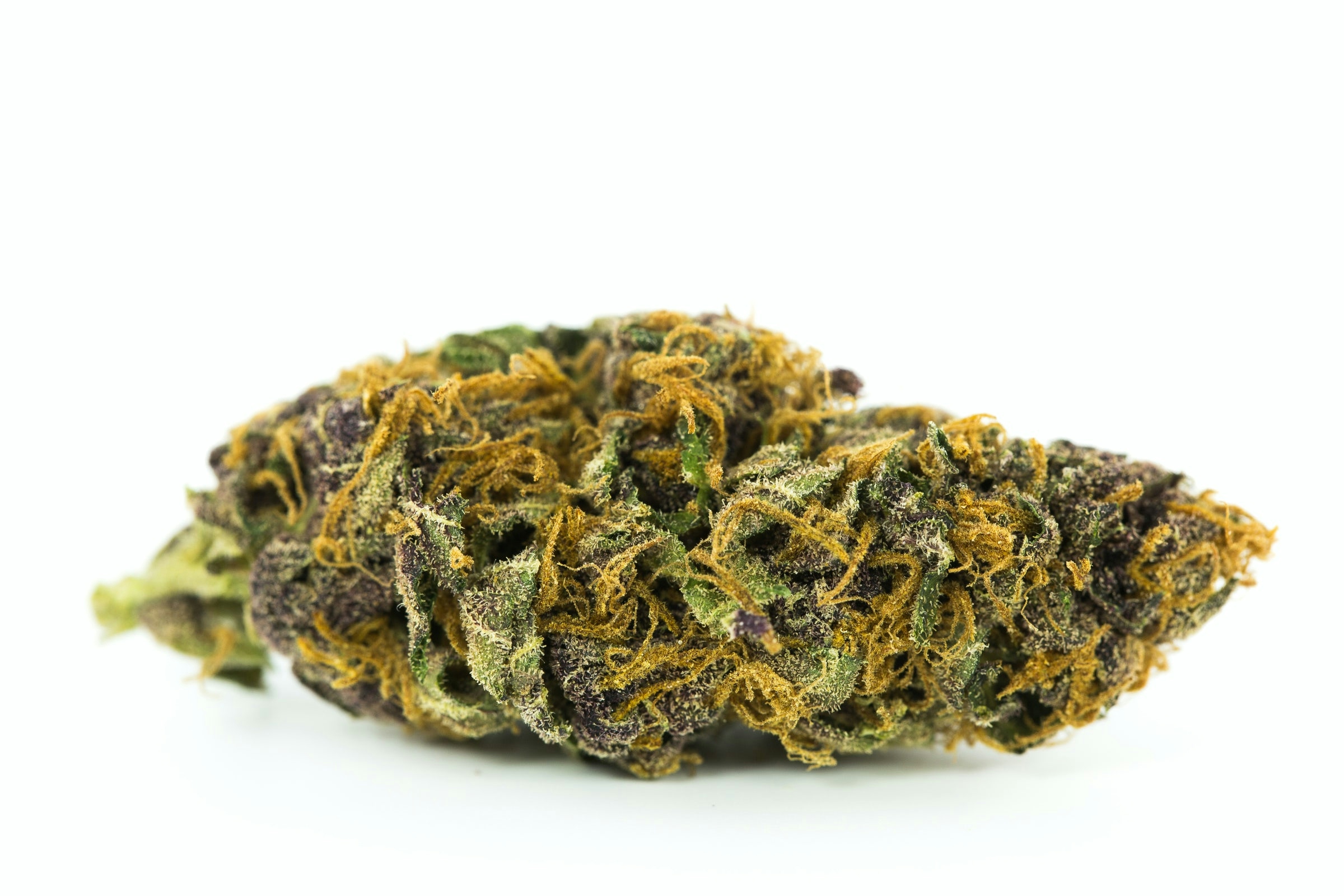 9 Rare and Exotic Weed Strains
