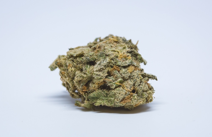 Want To Grow Weed Outside? These Are The Best Strains For Different Climates