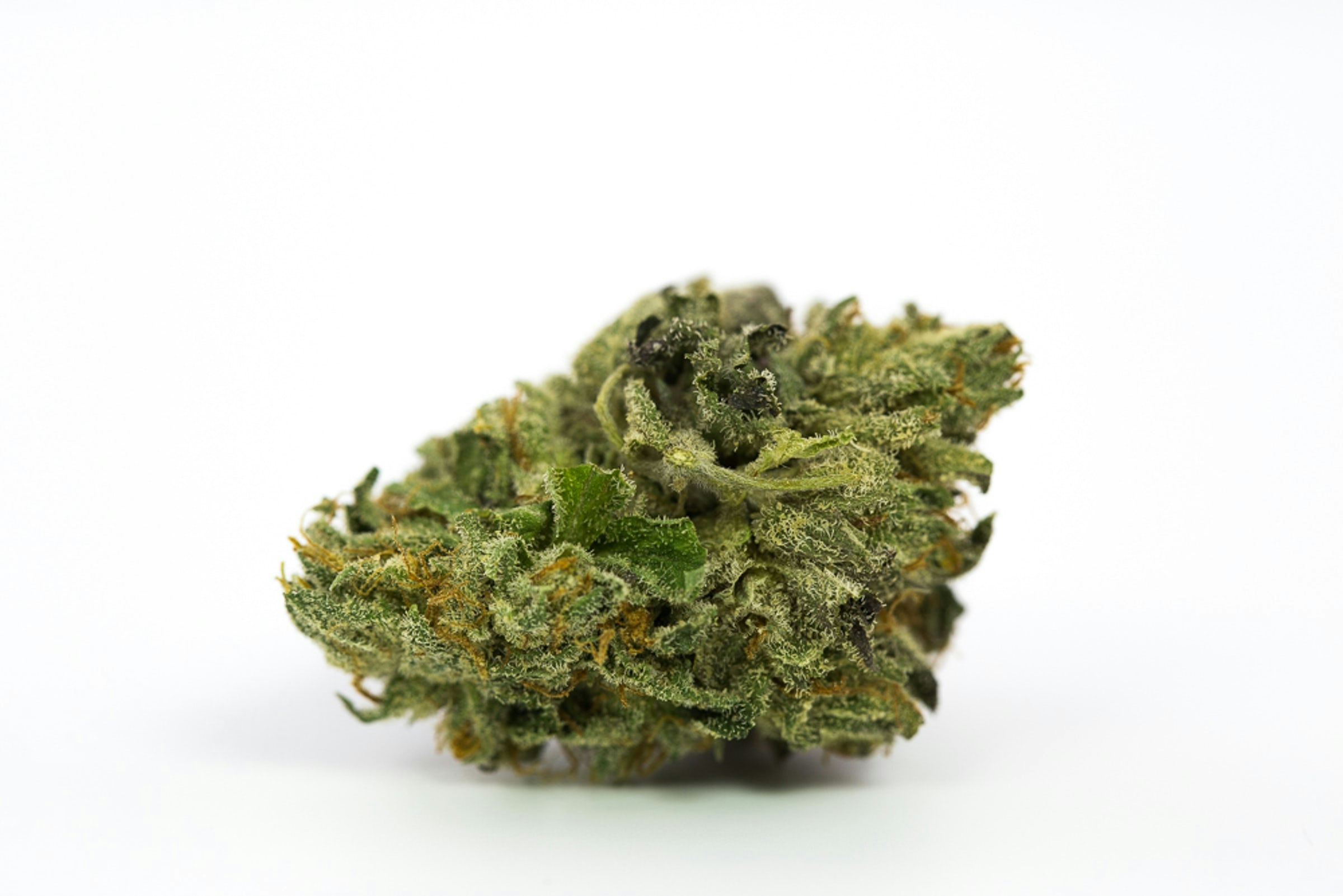 strains high in caryophyllene
