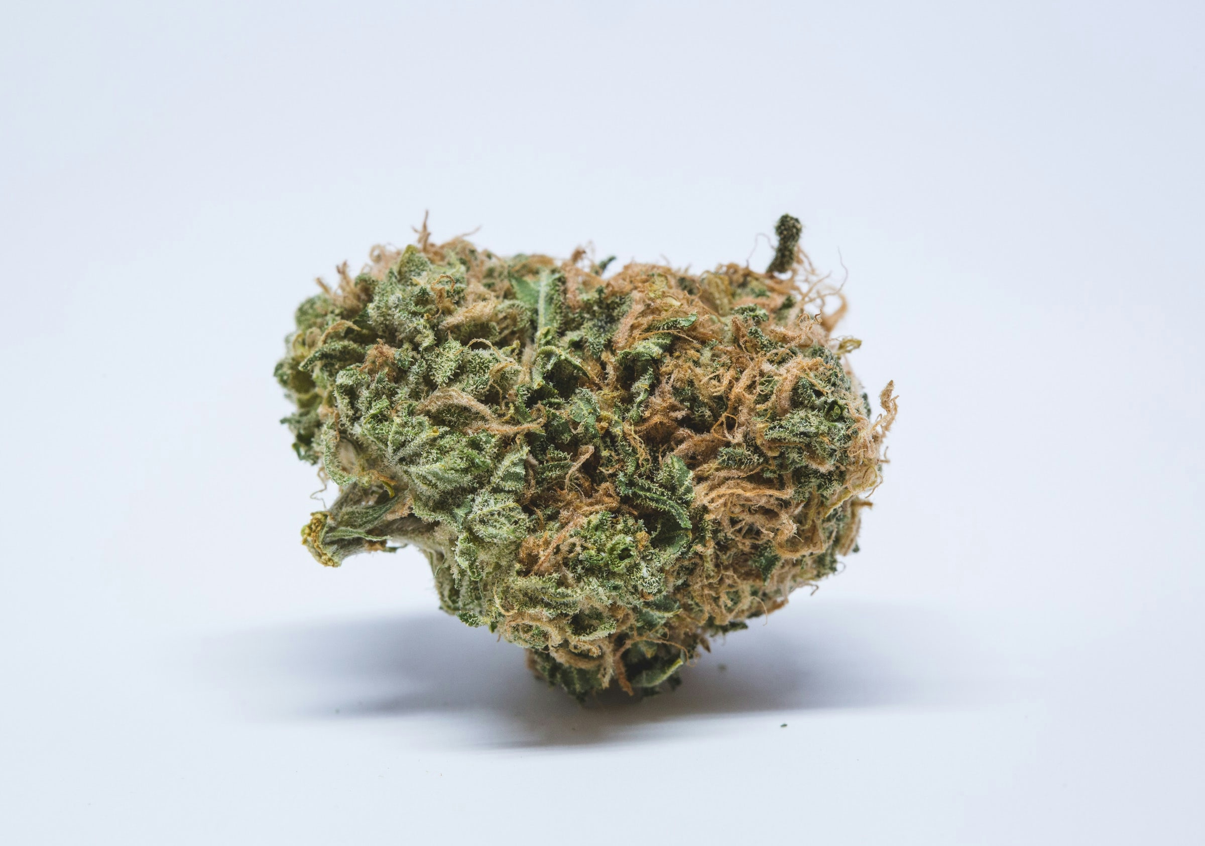 The Strongest Strains On The Planet | Herb