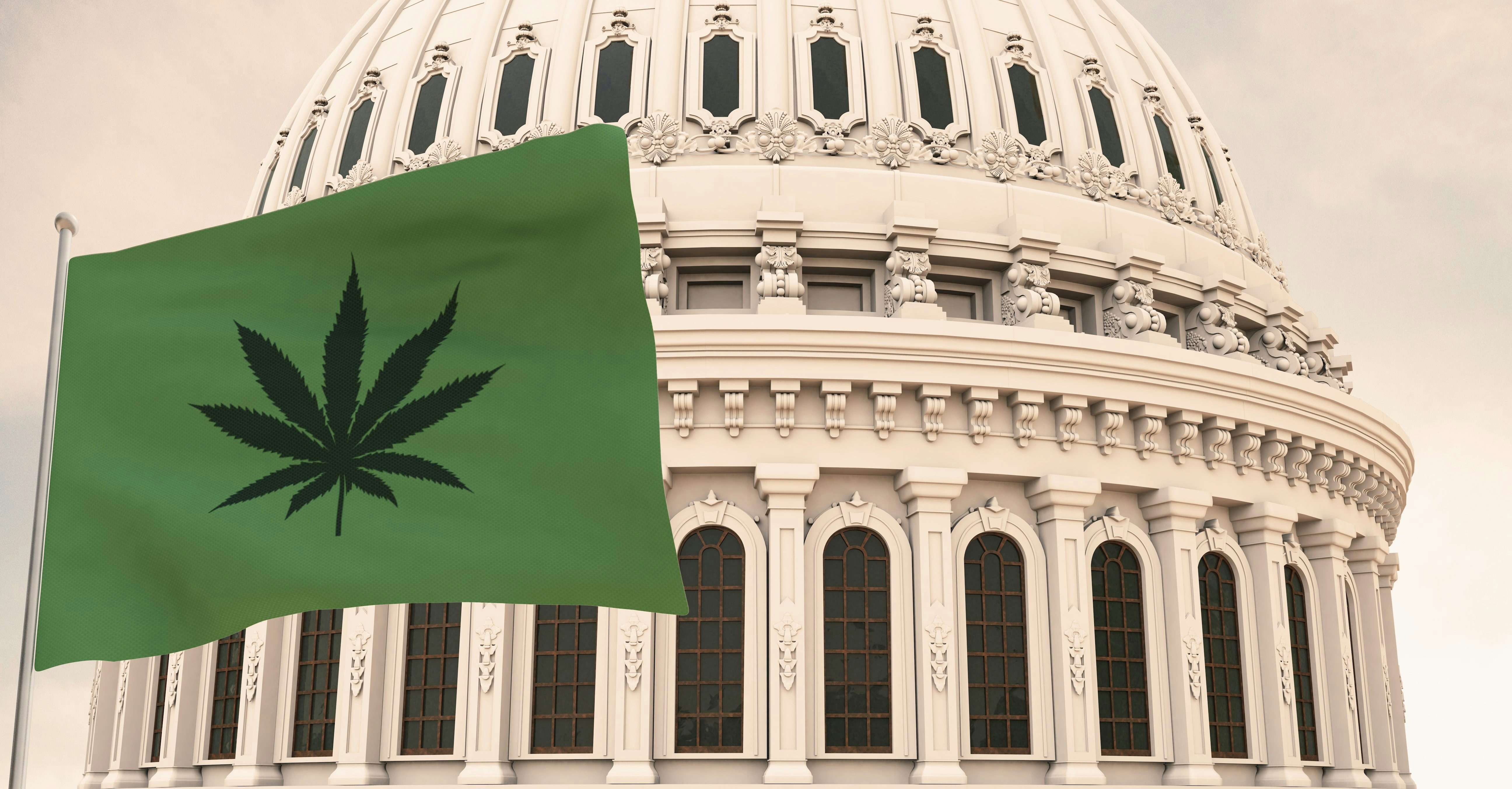 Beautiful flag of canabis, marijuana,weed , pot waving with the strong wind and behind it the dome of the Capitol USA 3D RENDER, 3D RENDERING.