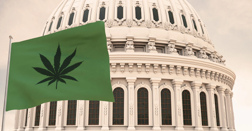 Beautiful flag of canabis, marijuana,weed , pot waving with the strong wind and behind it the dome of the Capitol USA 3D RENDER, 3D RENDERING.