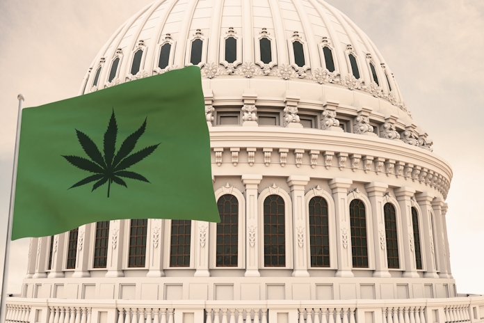 US Senators Unveiled A Federal Weed Legalization Bill, Here’s The Breakdown