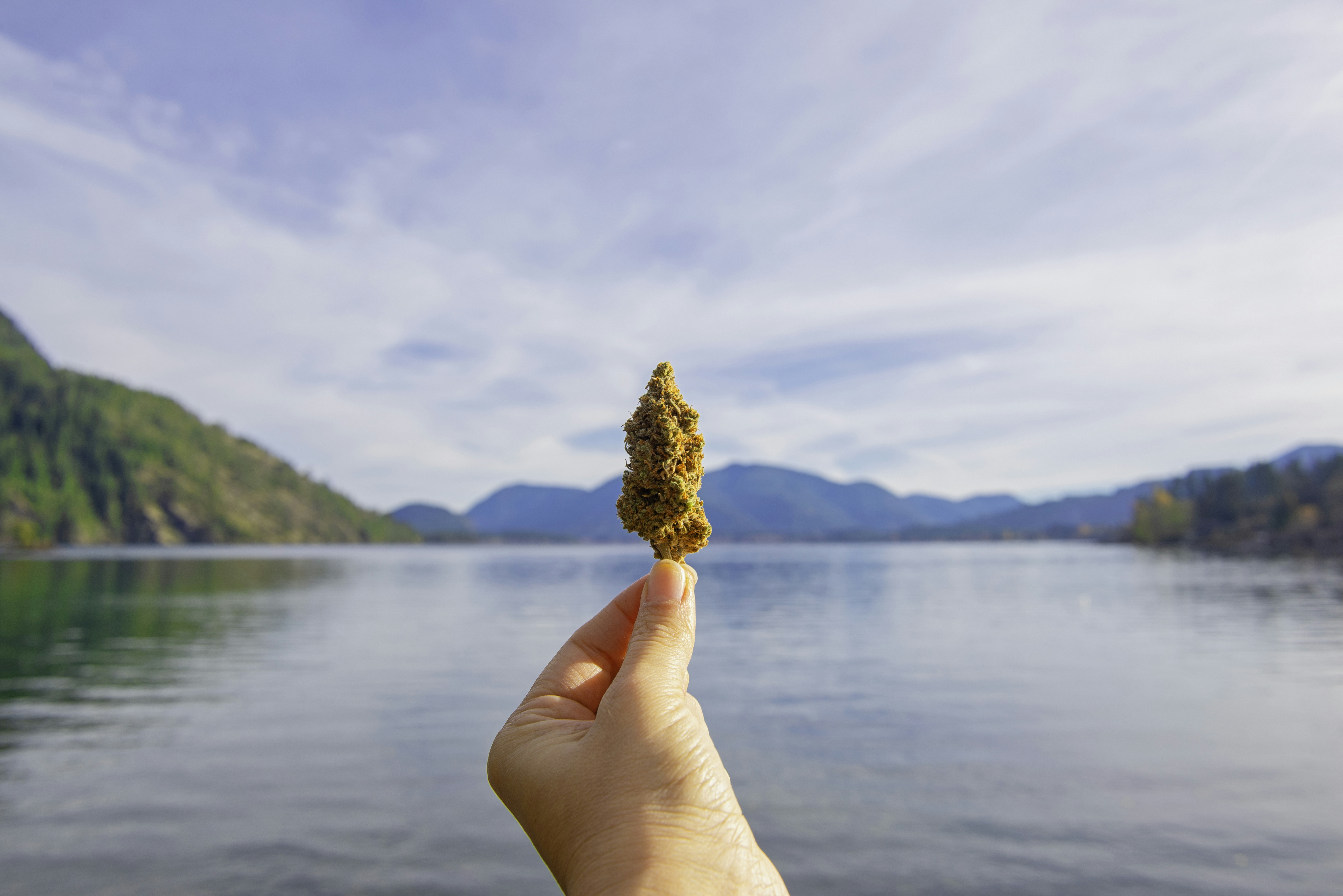 10 Things That Make You A Good Social Stoner