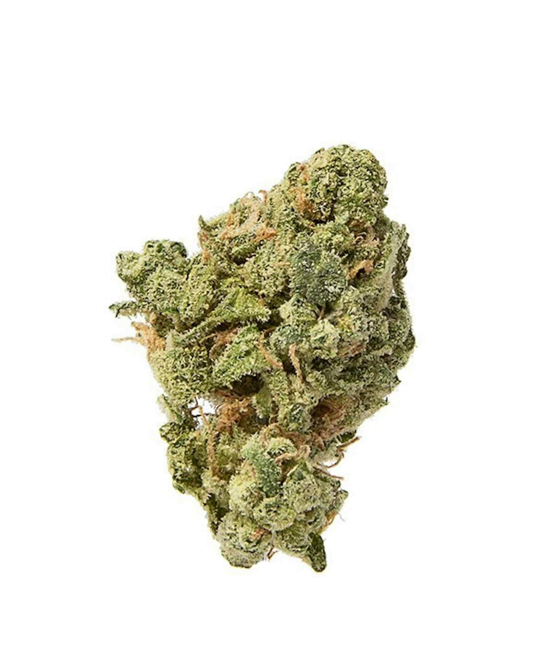 Weed Strains That Make You Laugh