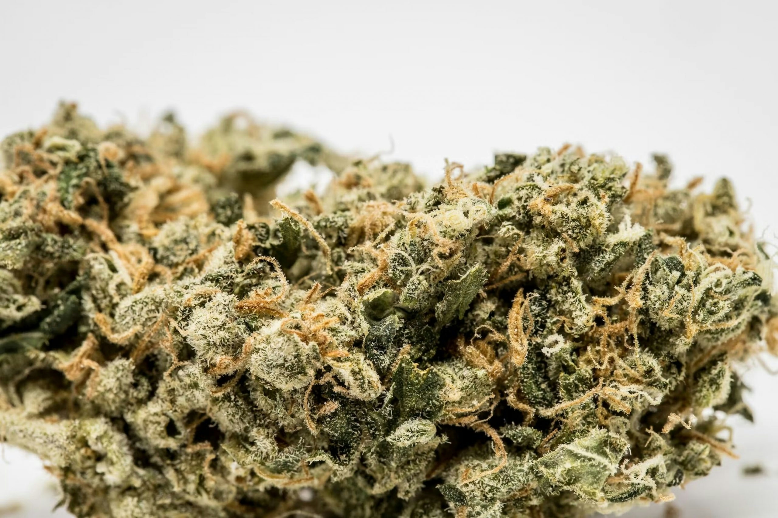 Weed That Makes You Laugh: Top 10 Strains