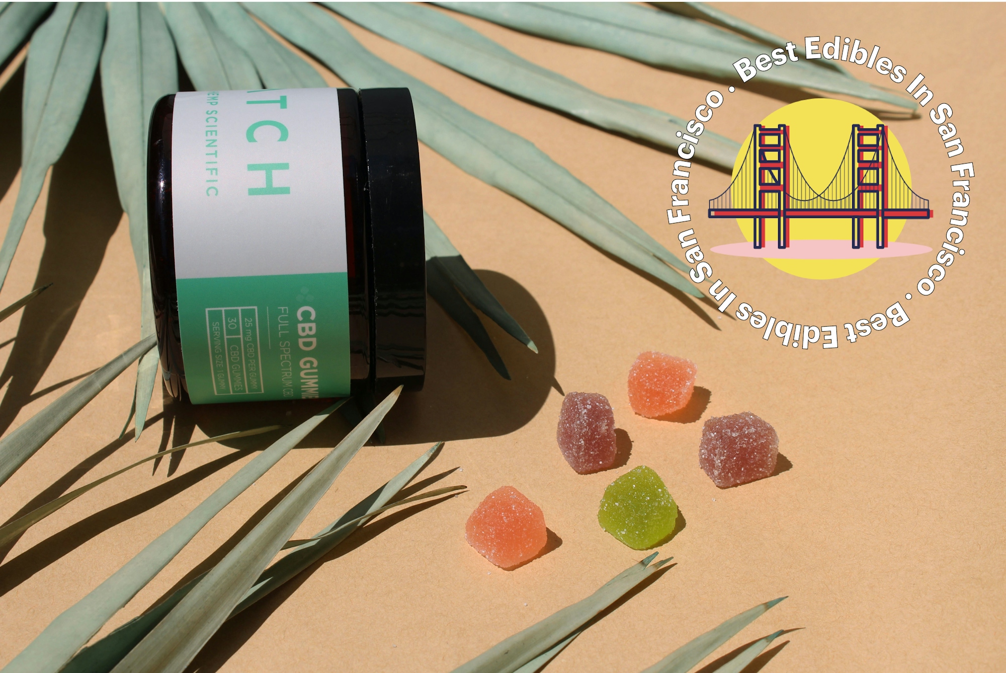 Herb’s Guide To The Best Edibles In San Francisco Herb