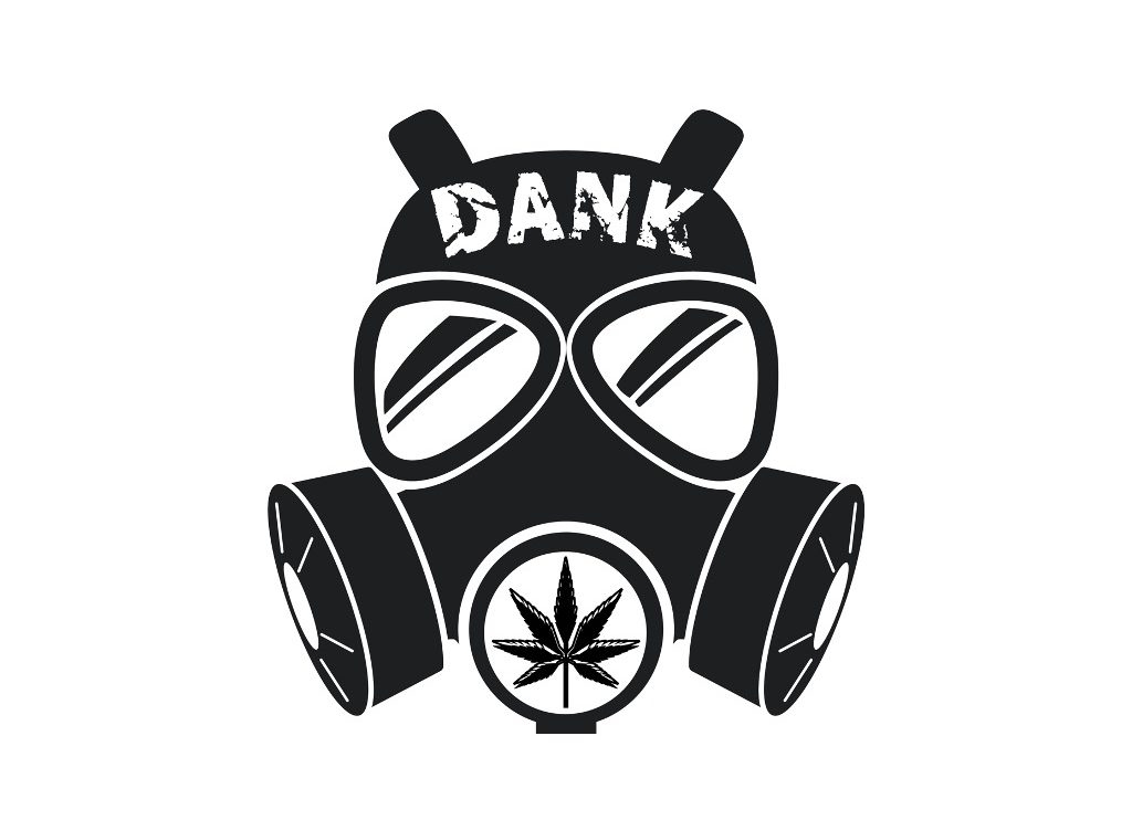 15 Best Online Head Shops 2025