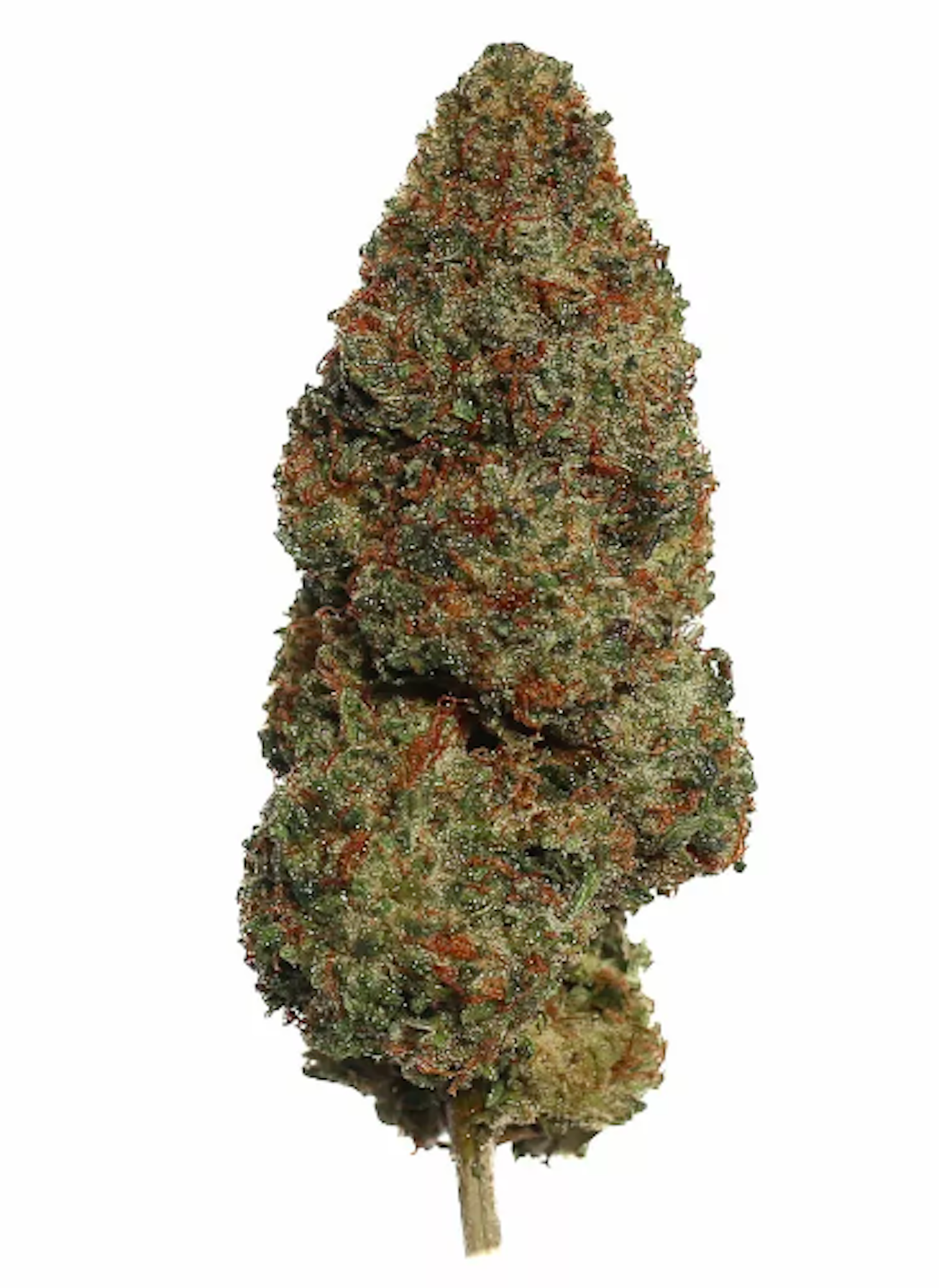 Weed Strains That Make You Laugh