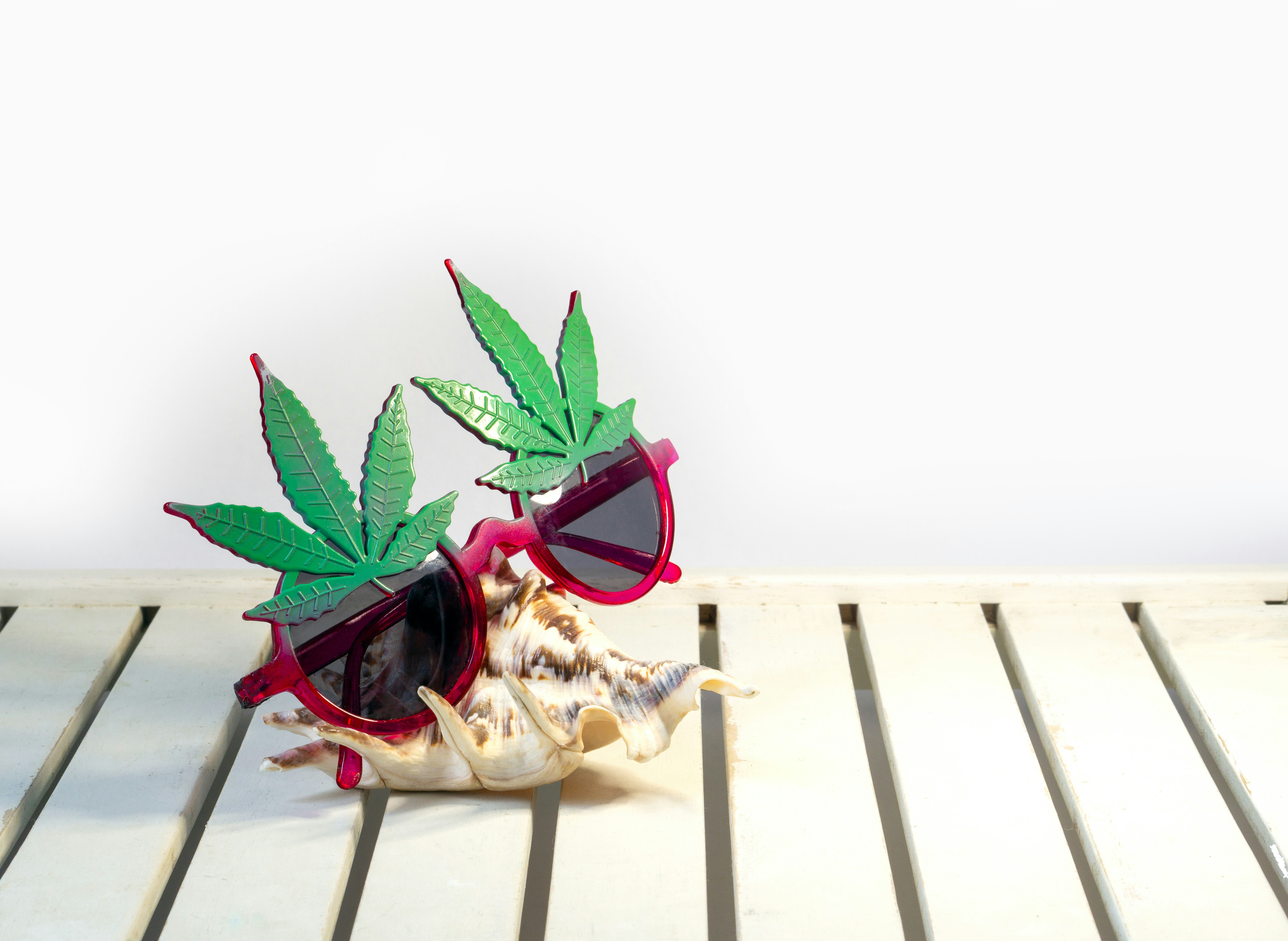 6 Steps To Hosting The Perfect Grown-Up Weed Party