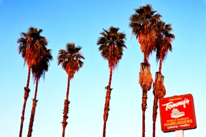 How To Get Weed In Los Angeles As A Tourist