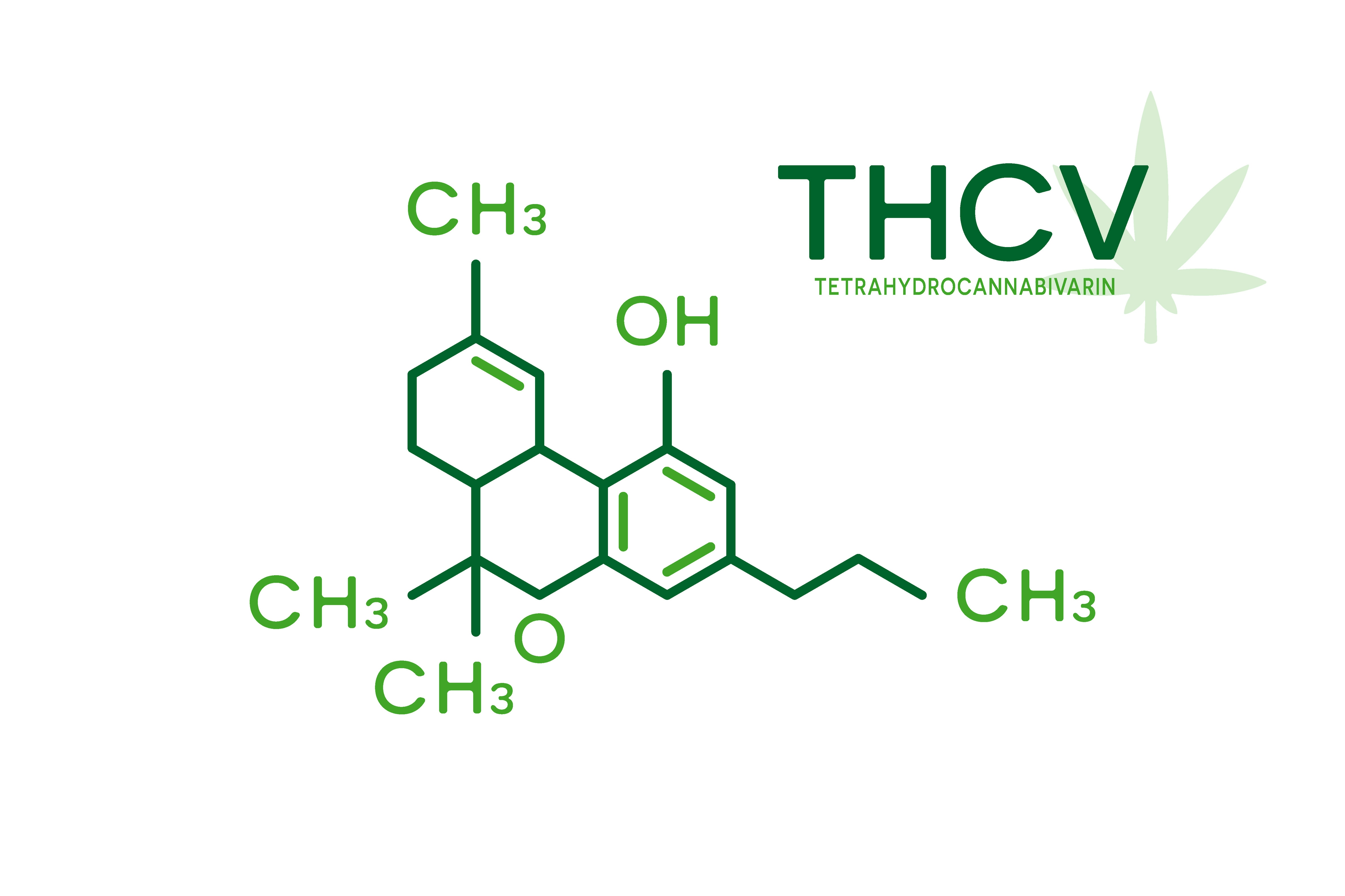 Strains With Highest THCV: 10 Strains To Check Out