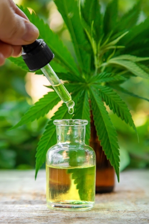 The 10 Best CBD Oils For Crohn’s Disease