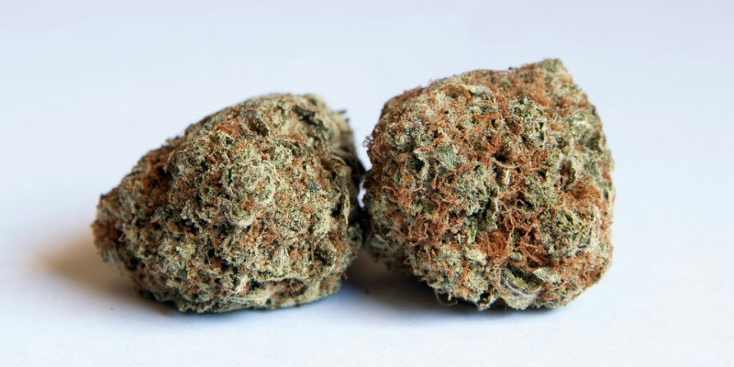 The Best Weed Strains For Psoriasis & Skincare