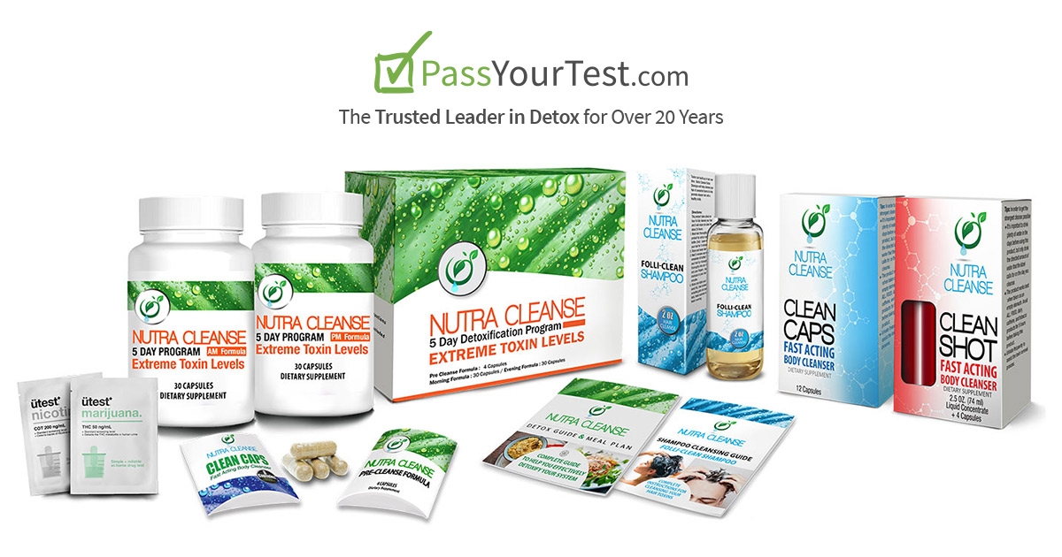 THC Detox: How To Pass A Drug Test Successfully