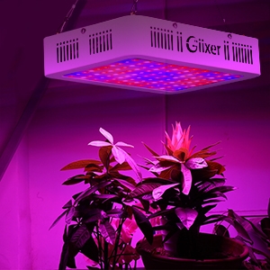 giixer grow light