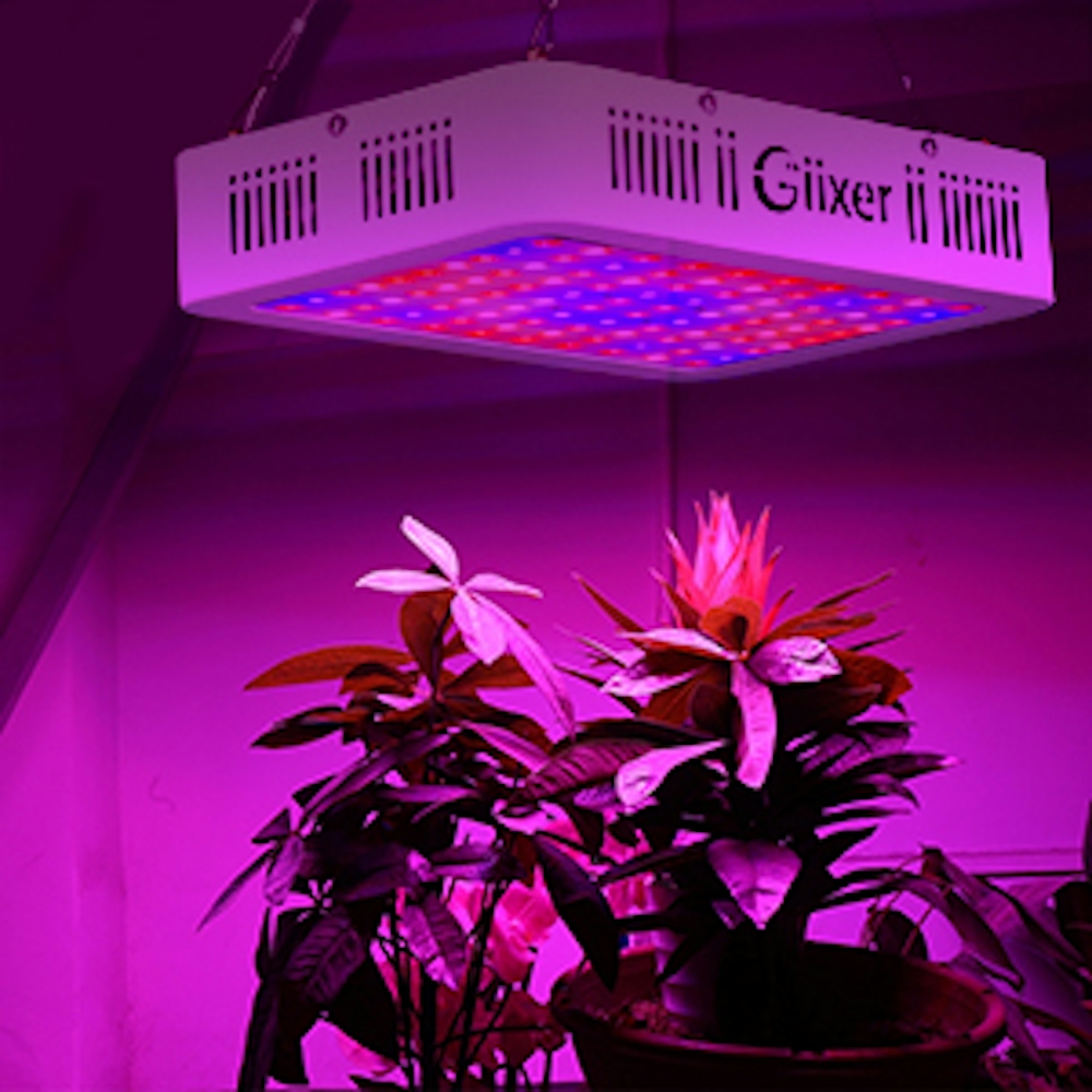 Grow Weed Without Breaking The Bank With This LED Light | Herb