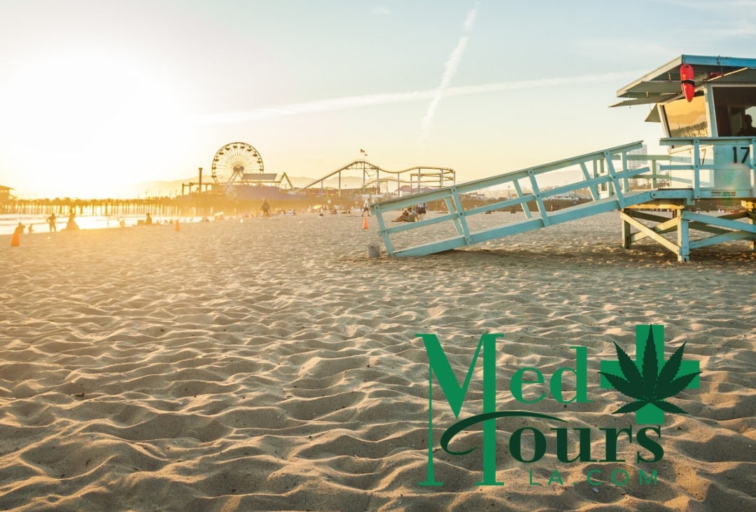 The 4 Best Weed Tours In LA