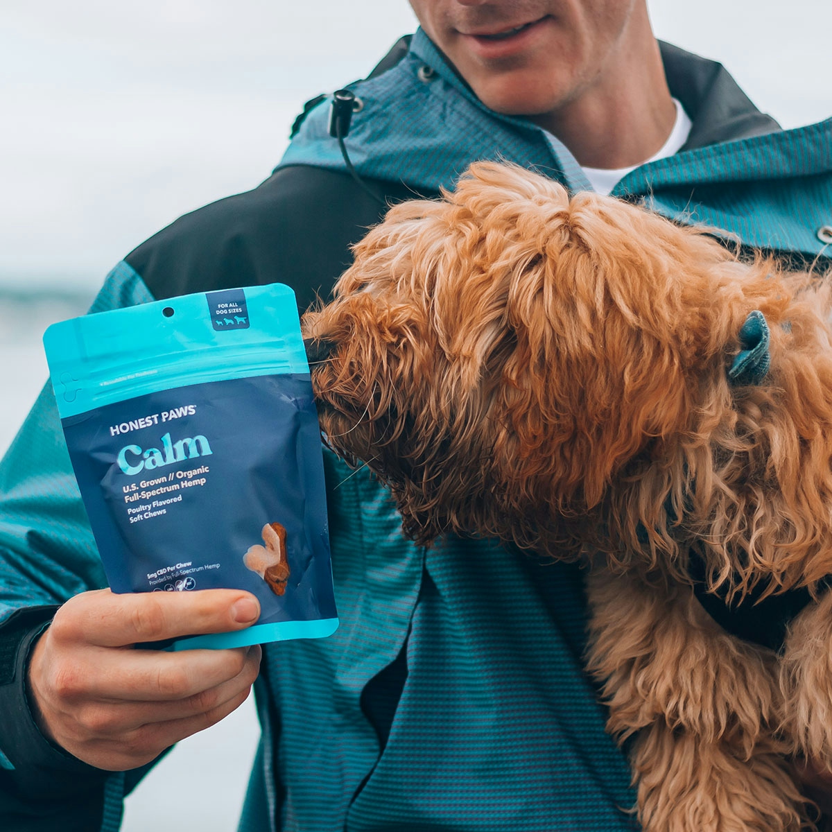 Honest Paws Review: Pros, Cons & Best Products