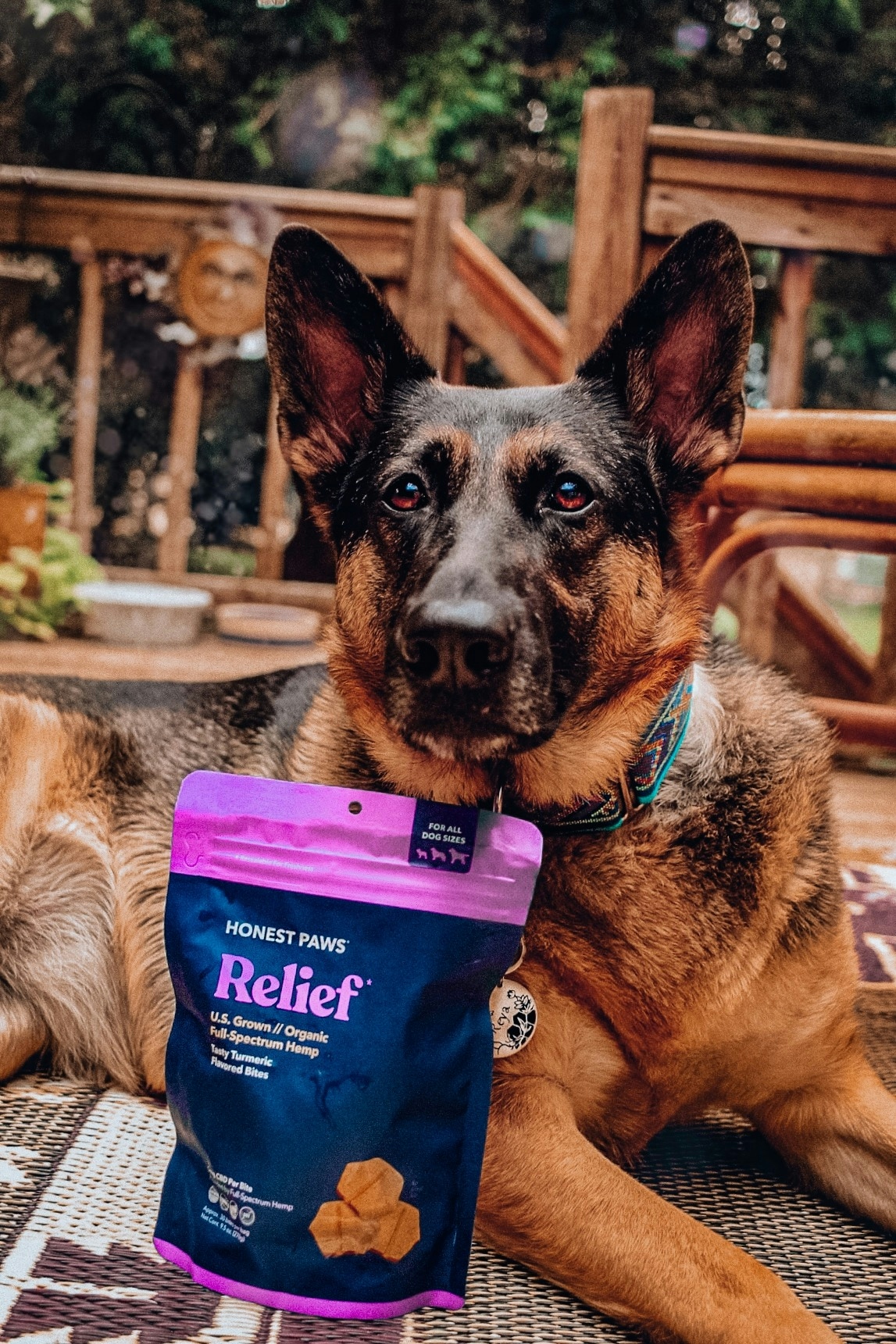 Honest Paws Review: Pros, Cons & Best Products