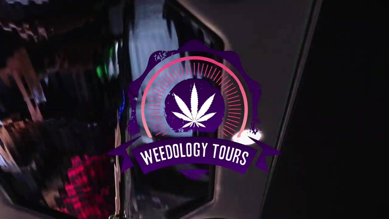 The 4 Best Weed Tours In LA