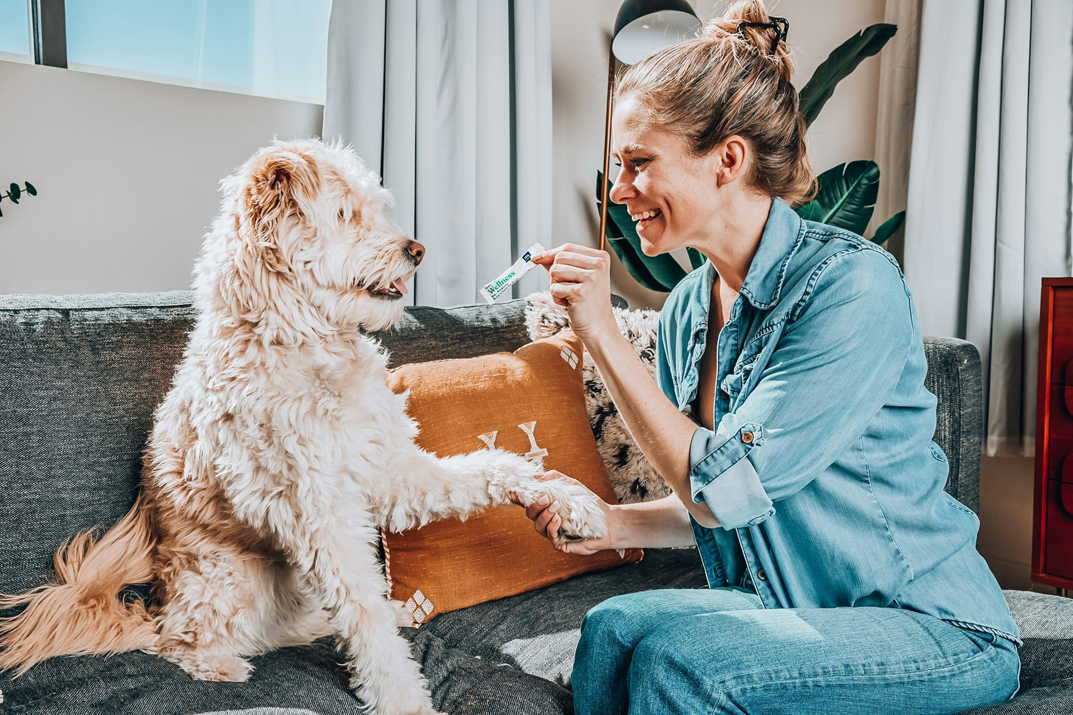 Amazon honest paws Clearance