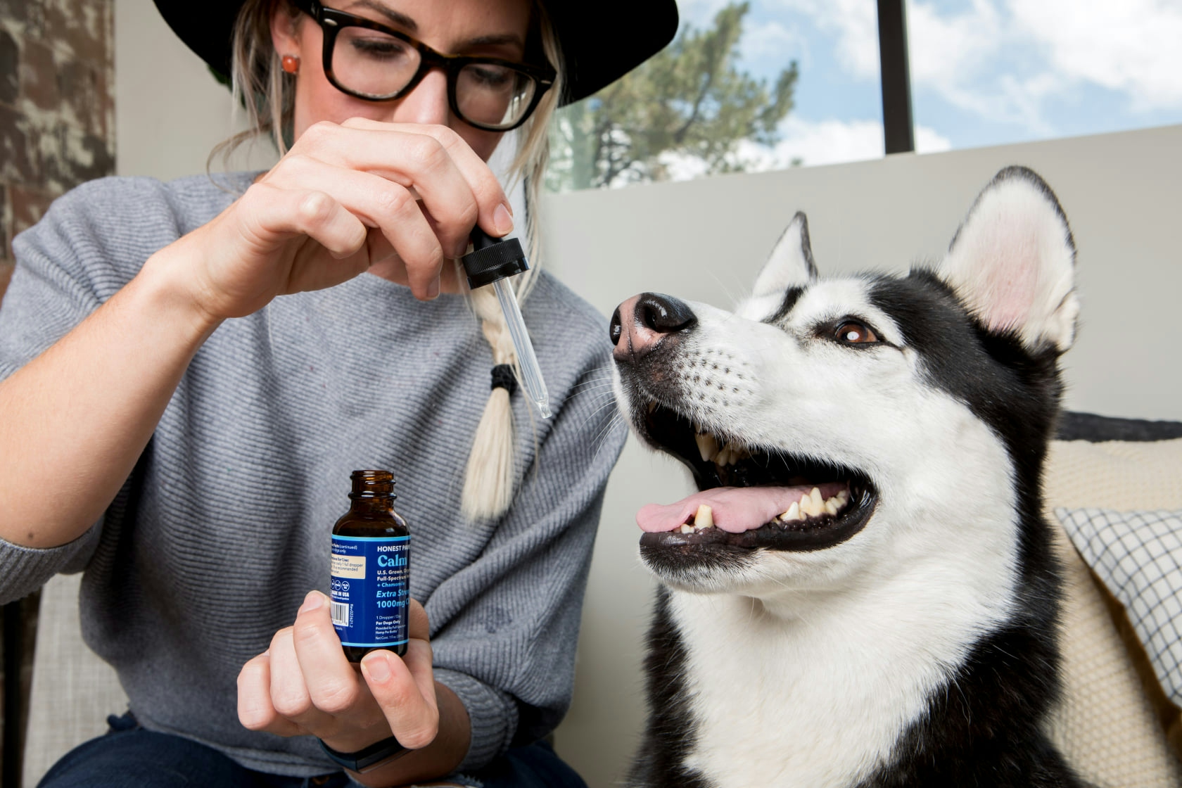 Honest Paws Review: Pros, Cons & Best Products