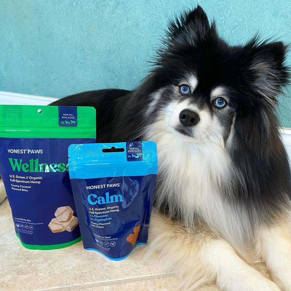 Honest Paws Review: Pros, Cons & Best Products