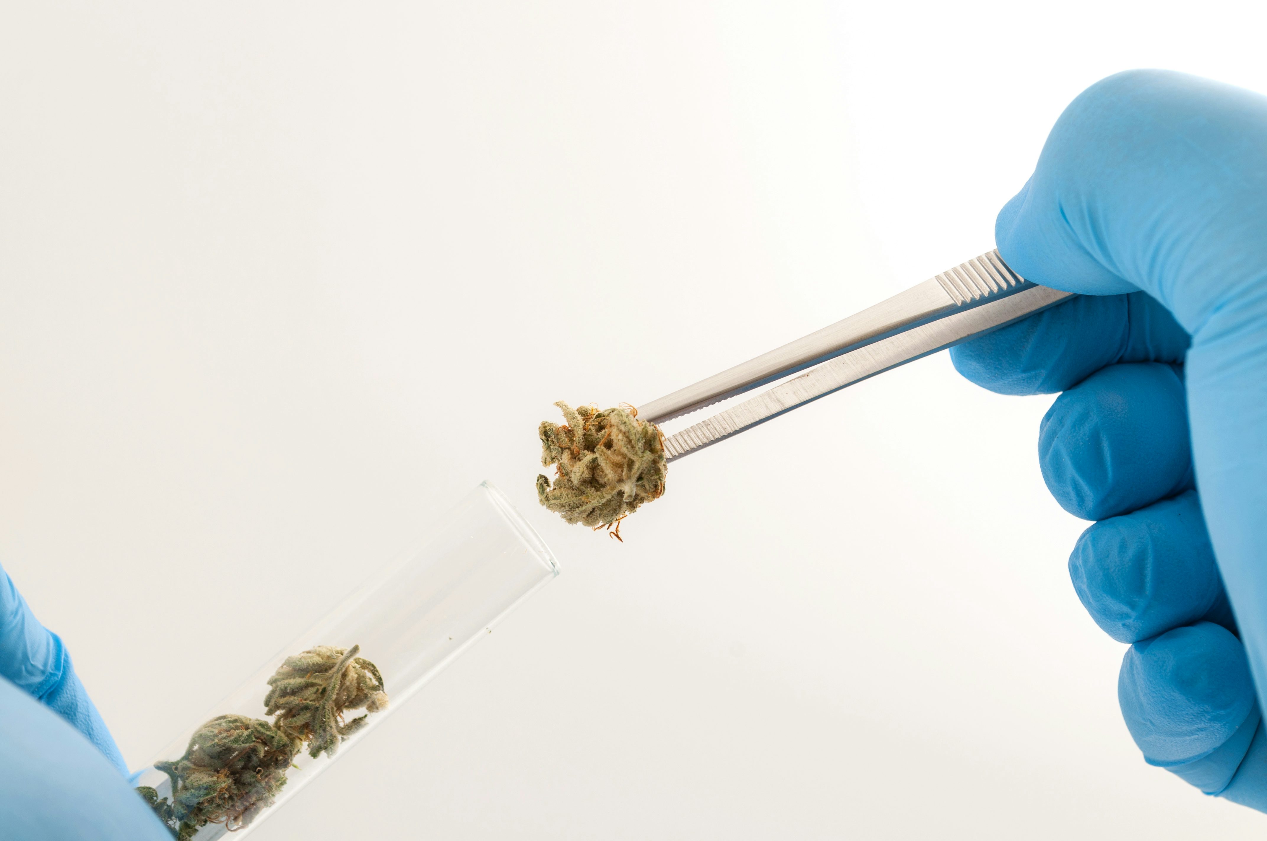 What is THC-O? Legality & safety of the new synthetic cannabinoid