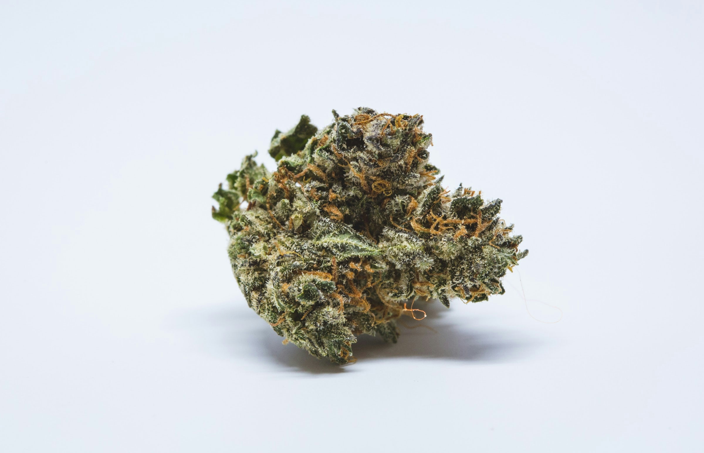 Herb’s Guide To The Best Strains For Seniors