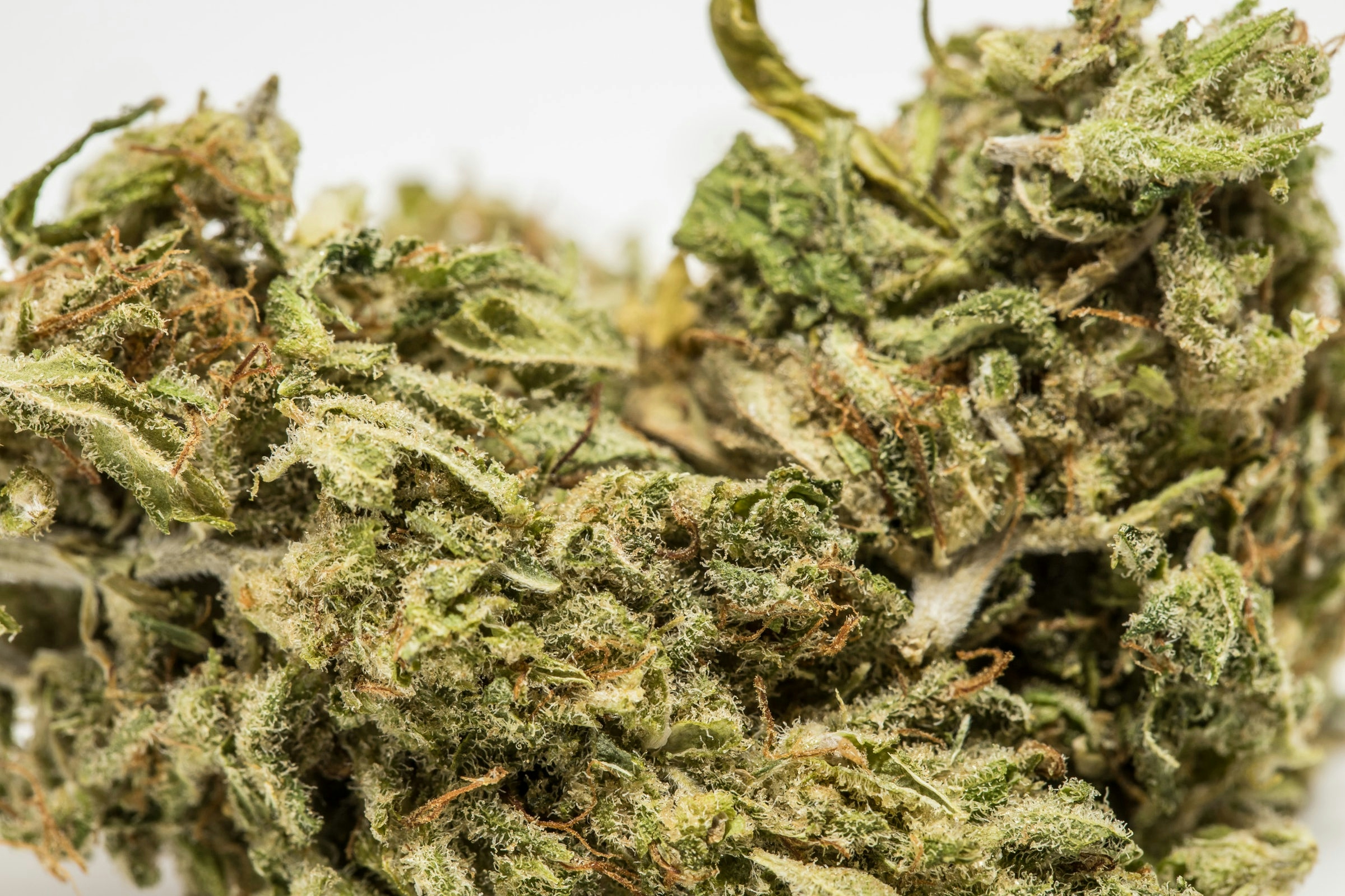 The 10 Best Weed Strains For Restless Leg Syndrome