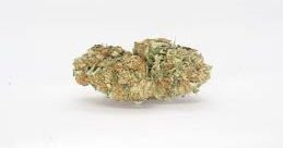 strains high in caryophyllene