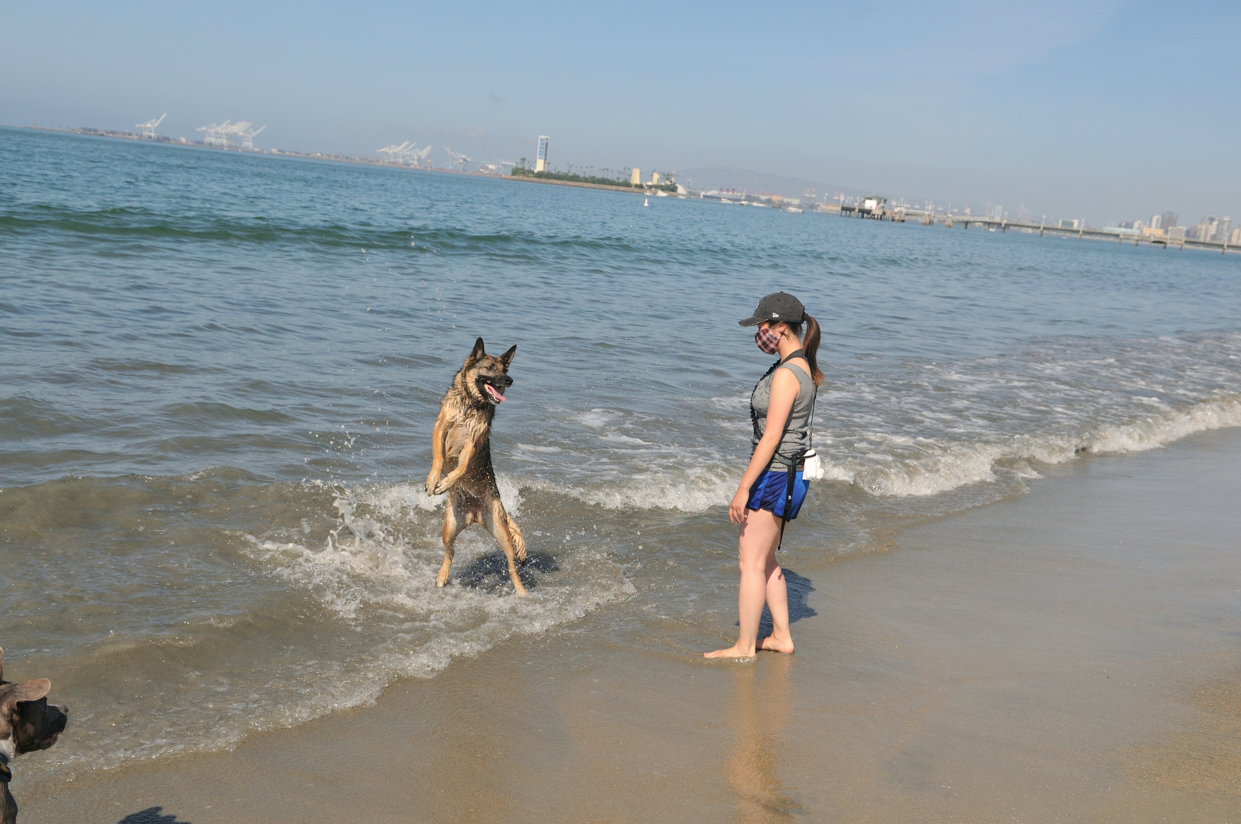 The Best Weed Friendly Beaches In California