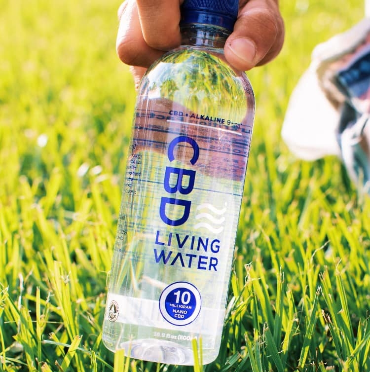 I Drank This CBD Water: Here’s The Breakdown