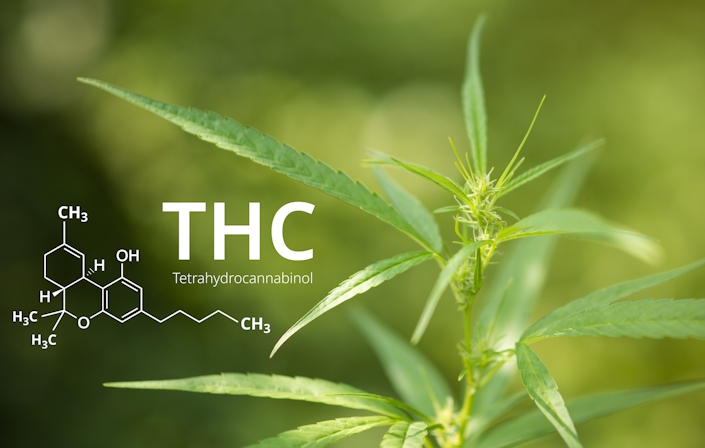 4 Sublingual THC Products For Fast-Acting Highs