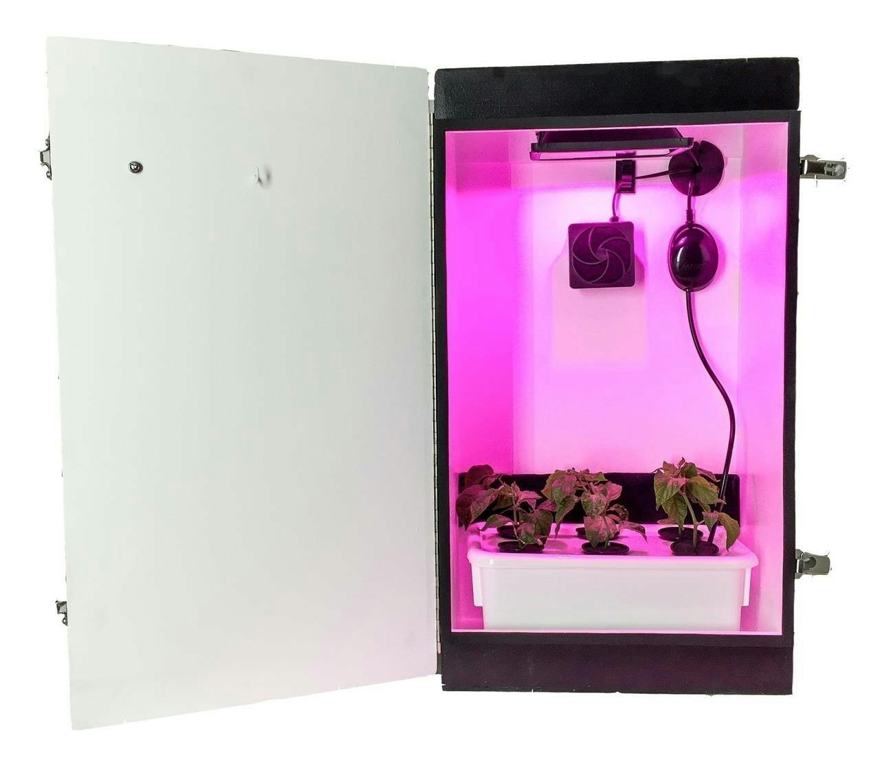 Dealzer Grandma's Secret Garden Grow Box Review: Grow Up To 4 