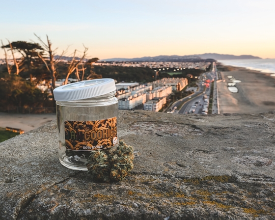 Best 15 Weed Deliveries In San Francisco