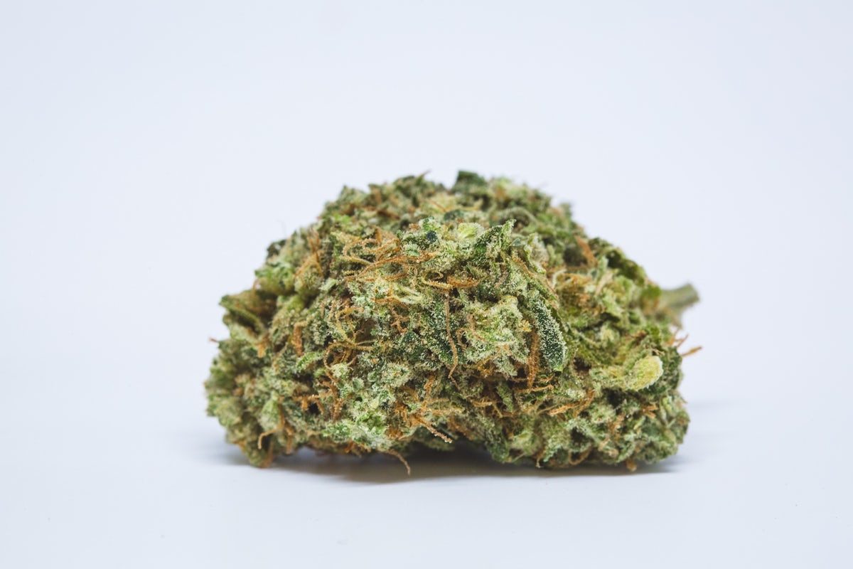 Strains With Highest THCV: 10 Strains To Check Out