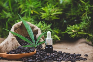 Herb’s Guide To The Best THCV Oils