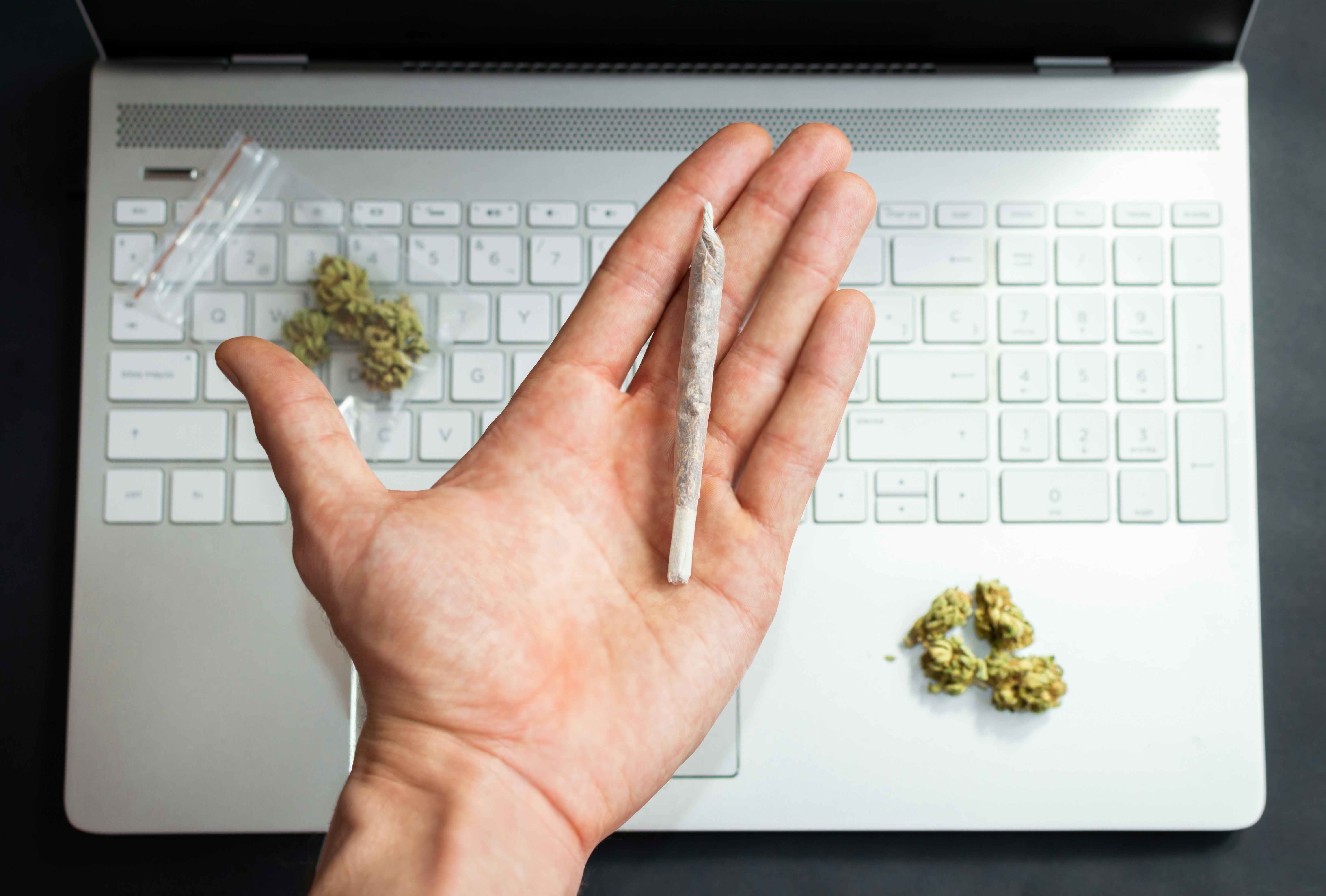 Link Building And Guest Posting Strategies For Cannabis Businesses