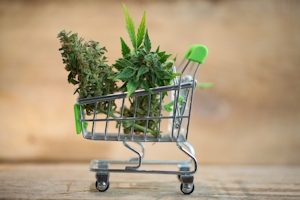 Grassdoor Promo Code: How To Get 33% Off Your Entire Purchase