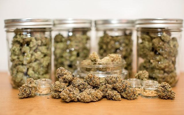 The Best Weed Strains That Won’t Make You Paranoid