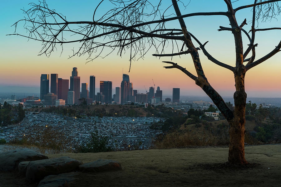 Top 5 Los Angeles Lookouts For Sesh Spots